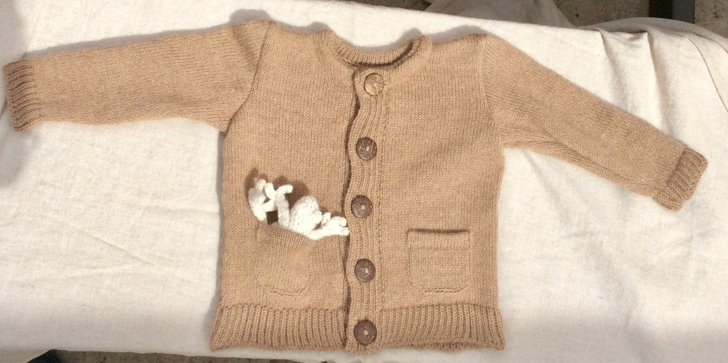 Baby/Toddler sweater